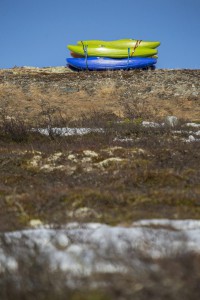 IMG_1684